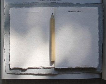 Important Truths, Letterpress Notebook, Blank Notebook on Handmade Paper