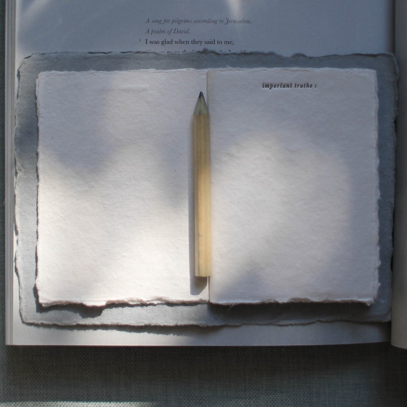 Important Truths, Letterpress Notebook, Blank Notebook on Handmade Paper image 1