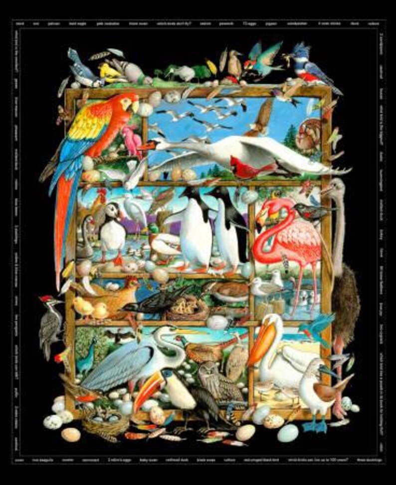 36in x 44in NEW Elizabeth/'s Studio Bird Watching Black Bird Panel fabric