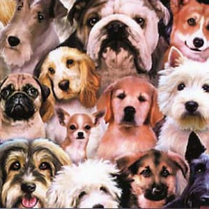 Elizabeth&#39;s Studio Petpourri Collection Multi Packed Puppies fabric - 1 yard