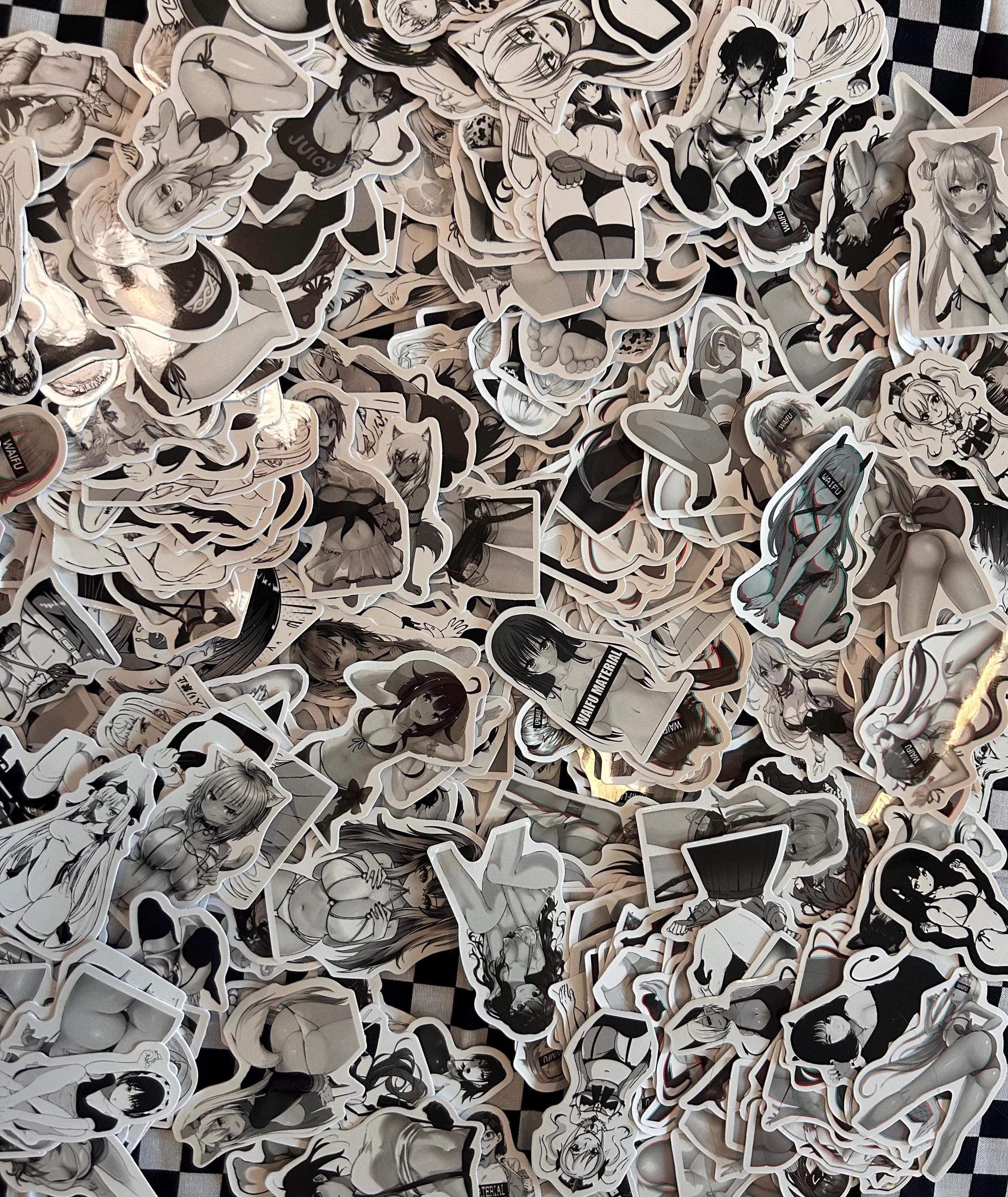 One Sticker Bw B&W WAIFU Sticker Mystery Pack NSFW (10 Pack) - Etsy