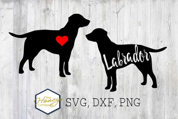 Download Lab Svg Png Dxf Labrador Outline Instant Download Silhouette Etsy