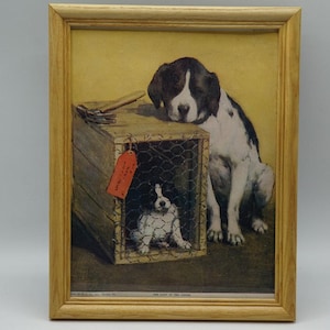 The Last of the Litter Print | St. Bernard Dog & Puppy Framed Art Lithograph