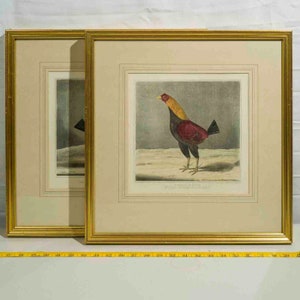 Pair of Antique Aquatint Lithograph Robert Pollard Holloway London Cockfight