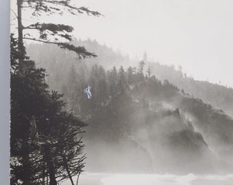 Black & White Coastal Landscape Photography W. Galen Barton 1960's