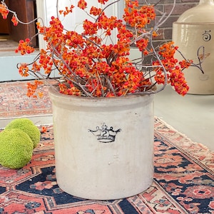 Robinson Ransbottom stoneware crock | Antique 2 gallon crown crock | Antique crown crock | Crown crock in great condition