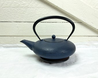 Kiyomizu ware tea pot | Navy blue cast iron teapot with trivit and tea strainer at Kate's Vintage Market