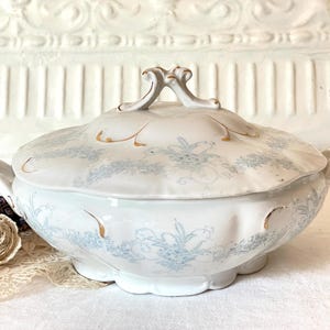 Vintage Ironstone Tureen: W.H. Grindley Gloria Pattern Serving Dish