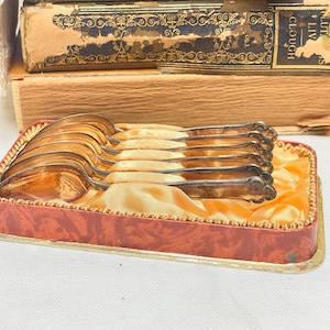 Silver plated spoon set with original box | vintage Teaspoons