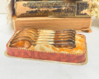 Silver plated spoon set with original box | vintage Teaspoons