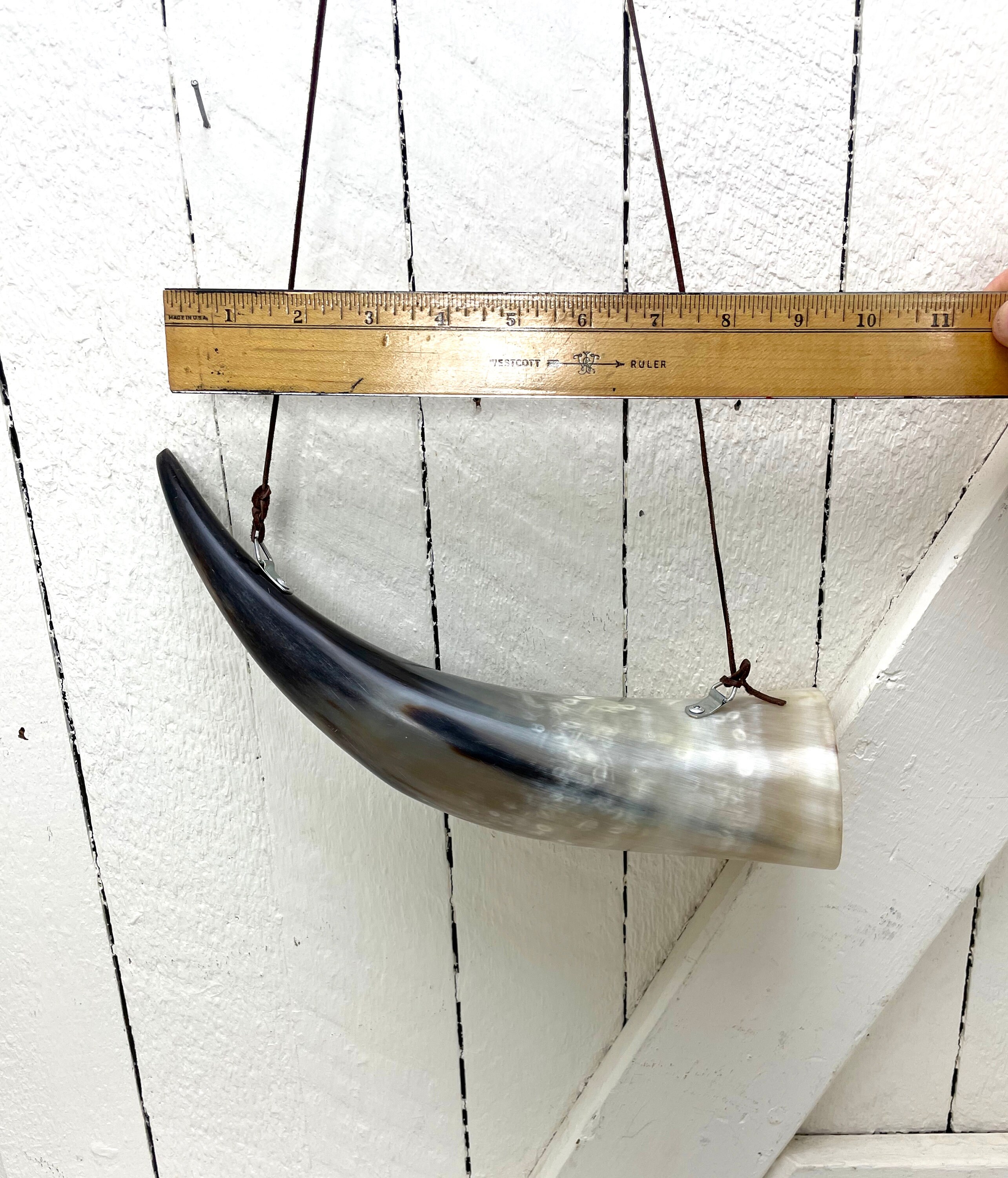 Vintage Cow Horn Decor: Southwest Style Man Cave, Leather Cord