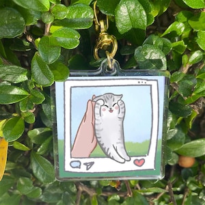 Social Media Shy Cat Meme Keychain