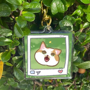 Social Media Yelling Cat Meme Keychain