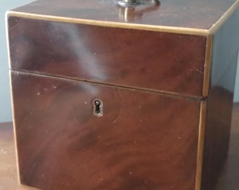 Georgian single tea caddy in mahogany with box wood stringing, gilt handle