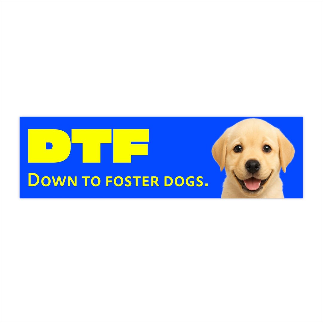 DTF Down to Foster Dogs - Bumper Sticker | Humorous Car Decal | Funny ...