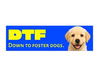DTF Down to Foster Dogs - Bumper Sticker | Humorous Car Decal | Funny | Laptop Sticker | Humor | Animal Rescue Stickers | Pet Lovers Gift