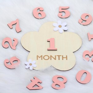 3D Monthly Milestone Discs for Baby Photos, Engraved Wood Monthly Milestone Markers, Personalized Baby Sign, 1-12 Month Baby Milestone Cards