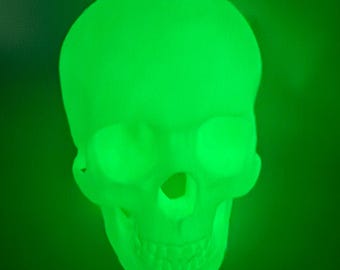 3D Printed - Human Skull (Glow in the Dark)