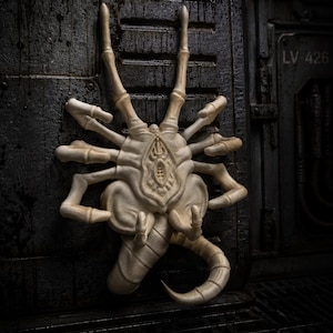 May include: A beige, multi-legged creature with a central oval opening and a long, segmented tail, mounted on a dark, metallic, industrial-style wall panel featuring the text LV-426. The creature has eight spindly limbs and a textured surface.