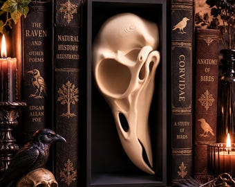 Raben Schädel Buchecke | Gothic Bücherregal Einsatz, Dark Academia Decor