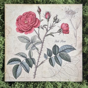 Holzpostkarte „Rote Rose“ – Botanische Grußkarte – Vintage Holzkarte mit Ständer – Rustikale Holzwandkunst – Handgemachte Naturholzkarte