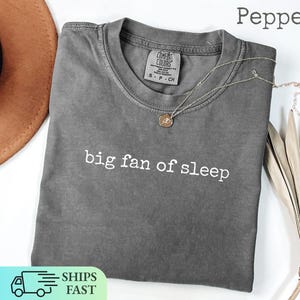 May include: A grey Comfort Colors t-shirt with the text "big fan of sleep" in white. A gold necklace with a pendant is draped on the shirt. A brown hat and dried plant are in the background.