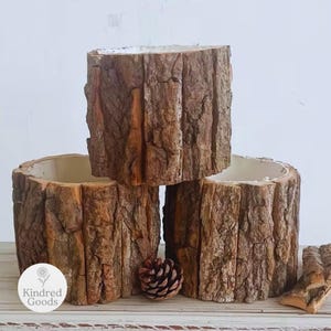 Rustikaler Baumstamm Pflanztopf | Sukkulenten & Kräuter Pflanztopf | Natürliche Rinde Dekor | Paar (2x)| Cottagecore Geschenk