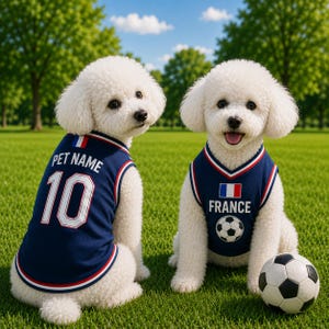 Puede incluir: Dos perros blancos de pelo rizado visten camisetas sin mangas azul marino con ribetes rojos y blancos. Una camiseta muestra el texto PET NAME y el n&uacute;mero 10. La otra camiseta presenta el texto FRANCE, una bandera francesa y un bal&oacute;n de f&uacute;tbol.