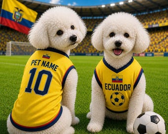 Camiseta de fútbol personalizada de Ecuador para mascotas, conjunto de fútbol para perros y gatos, camiseta de fútbol de Ecuador con nombre y número, ropa deportiva para cachorros adorables.