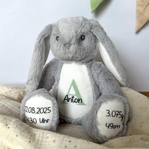 Könnte beinhalten: Ein graues Plüschkaninchen mit langen Ohren und einem weißen Bauch. Der Name "Anton" ist mit einem grünen "A" auf dem Bauch aufgedruckt. Die Fußsohlen des Kaninchens zeigen Datum, Uhrzeit, Gewicht (3,075g) und Länge (49cm).