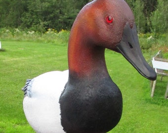 Canasback Duck--all hand carved and hand painted