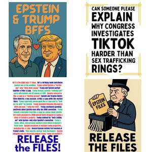 Epstein Files Protest Signs – Printable Anti-Trump Digital Downloads | 4 Designs, 3 Sizes | Political Poster Instant Download