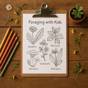 Könnte beinhalten: Ein druckbarer Foraging-Leitfaden für Kinder mit Illustrationen von Löwenzahn, Rotklee, Pfifferling und Bärlauch.