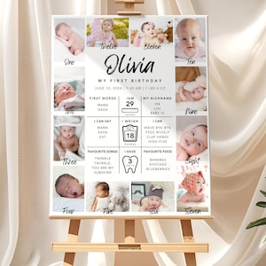 Affiche d'étape mensuelle de bébé de première année, signe d'étape importante de 1er anniversaire de fille panneau d'étape d'anniversaire modifiable