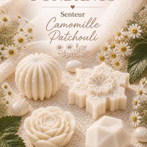 Peut inclure: Diverses fondants parfumés blancs, présentés sous différentes formes : cactus, flocon de neige, rose et géométrique. Le texte « Nouveaux Fondants » et « Camomille Patchouli » est visible. Des marguerites et des pierres tachetées ornent la scène.