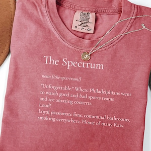 May include: A dusty rose Comfort Colors t-shirt with the text "The Spectrum" and a definition. A silver necklace with a circular pendant rests on the shirt. The shirt's tag reads "S-P-CH".