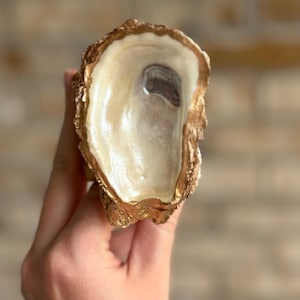 Servetringen met oesterschelp