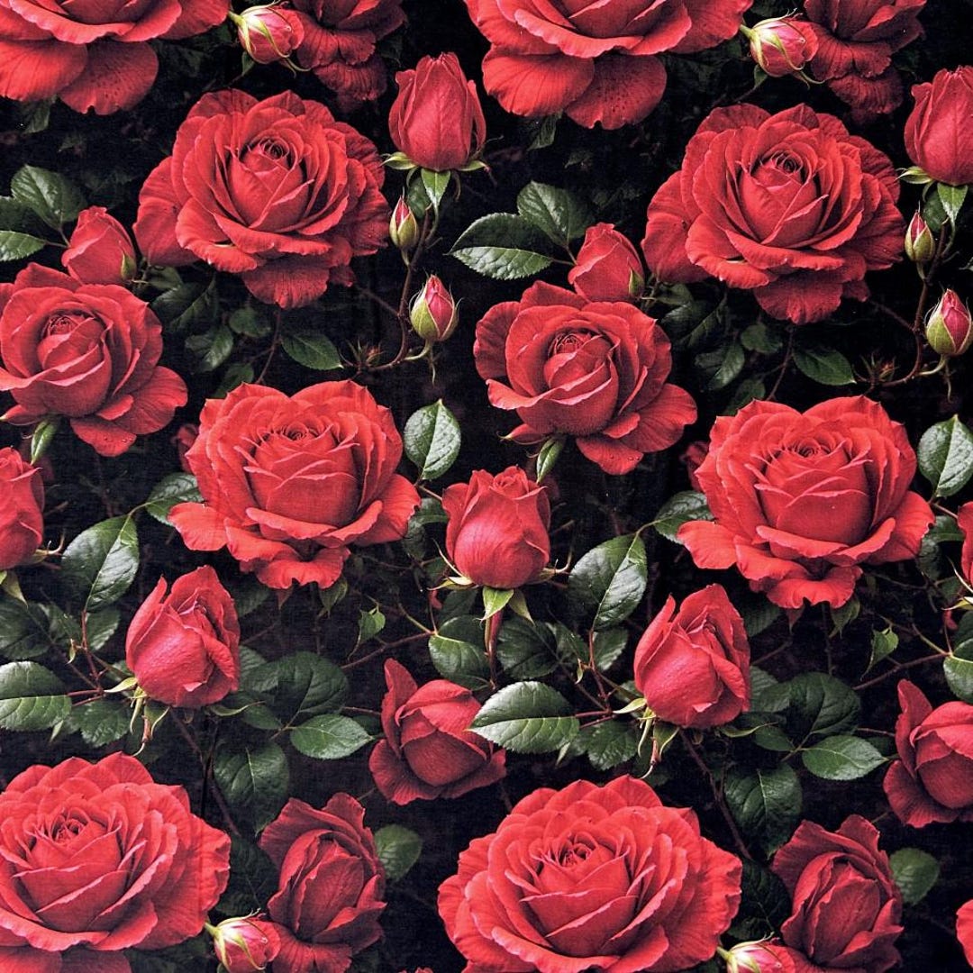 Red Roses Flowers Cotton Fabric Yard Half Yard - Etsy