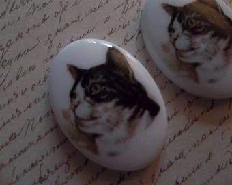 Cat Cameos -  Black & White Tabby Cats - 18X13mm Oval Cabochons - Decal Picture Stones - Made in Germany - Qty 2