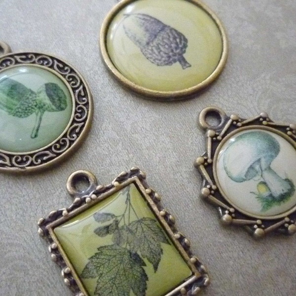 NEW: Set of 4 Green Tinted Nature Charms - Maple Leaves, Acorns and  Mushroom in Fancy Oxidized Brass Frames