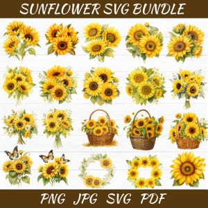 Sunflower Svg Bundle - Sunflower Clipart - Cute Flower Watercolor Spring Clip Art - Floral Sticker Mug and Shirt Design - Digital Download