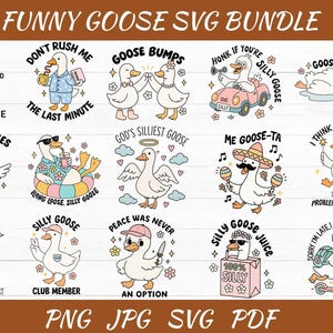 Funny Goose Svg Bundle - Funny Goose Png - Snarky Goose Retro Humor Svg - Sassy Animal Silly Goose Png - Funny Animal Svg - Digital File