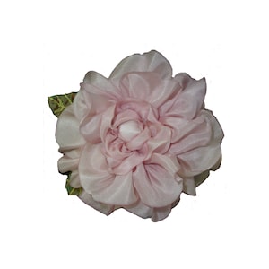 Camellia, &quot;Pink Perfection&quot;