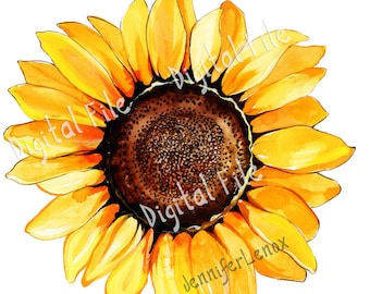 Sunflower Watercolor Clipart Digital File Download Printable JPG, PNG