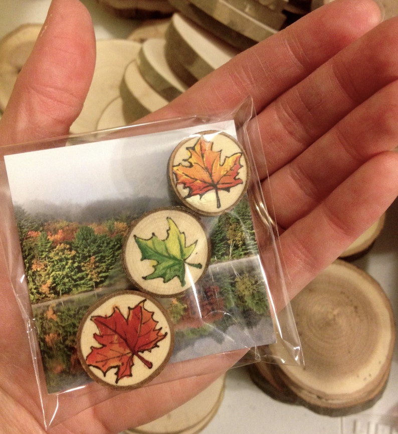 Rustic Vermont Maple Leaf Magnets Hand Painted on Natural Maple Wood - Etsy