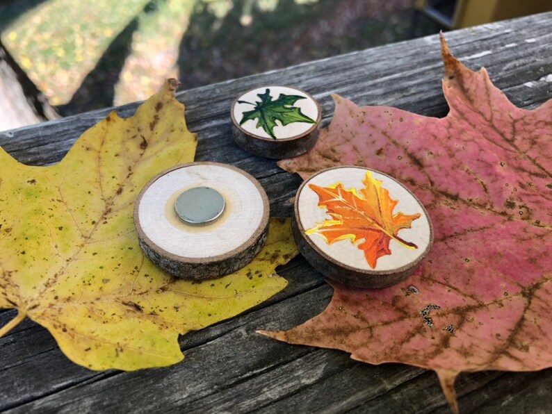 Rustic Vermont Maple Leaf Magnets Hand Painted on Natural Maple Wood - Etsy