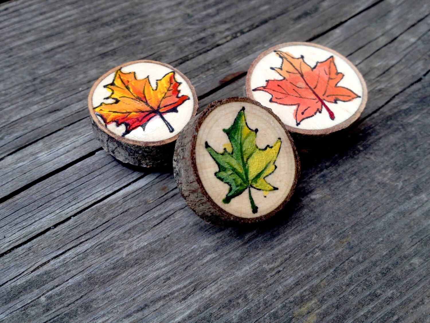 Rustic Vermont Maple Leaf Magnets Hand Painted on Natural Maple Wood - Etsy
