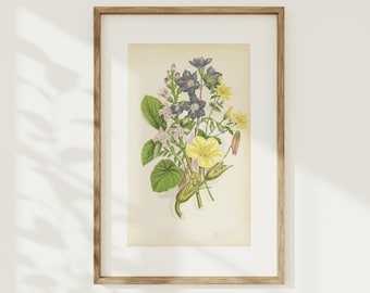 Vintage Floral Bouquet Book Plate, Botanical Illustration Wall Art