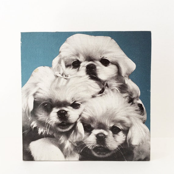 Dog Wall Art Wood Art Block Ornament Puppy Art Kitsch | Etsy