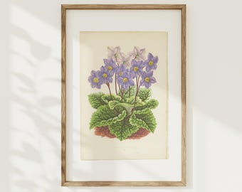 Vintage Floral Book Plate, Botanical Illustration Wall Art